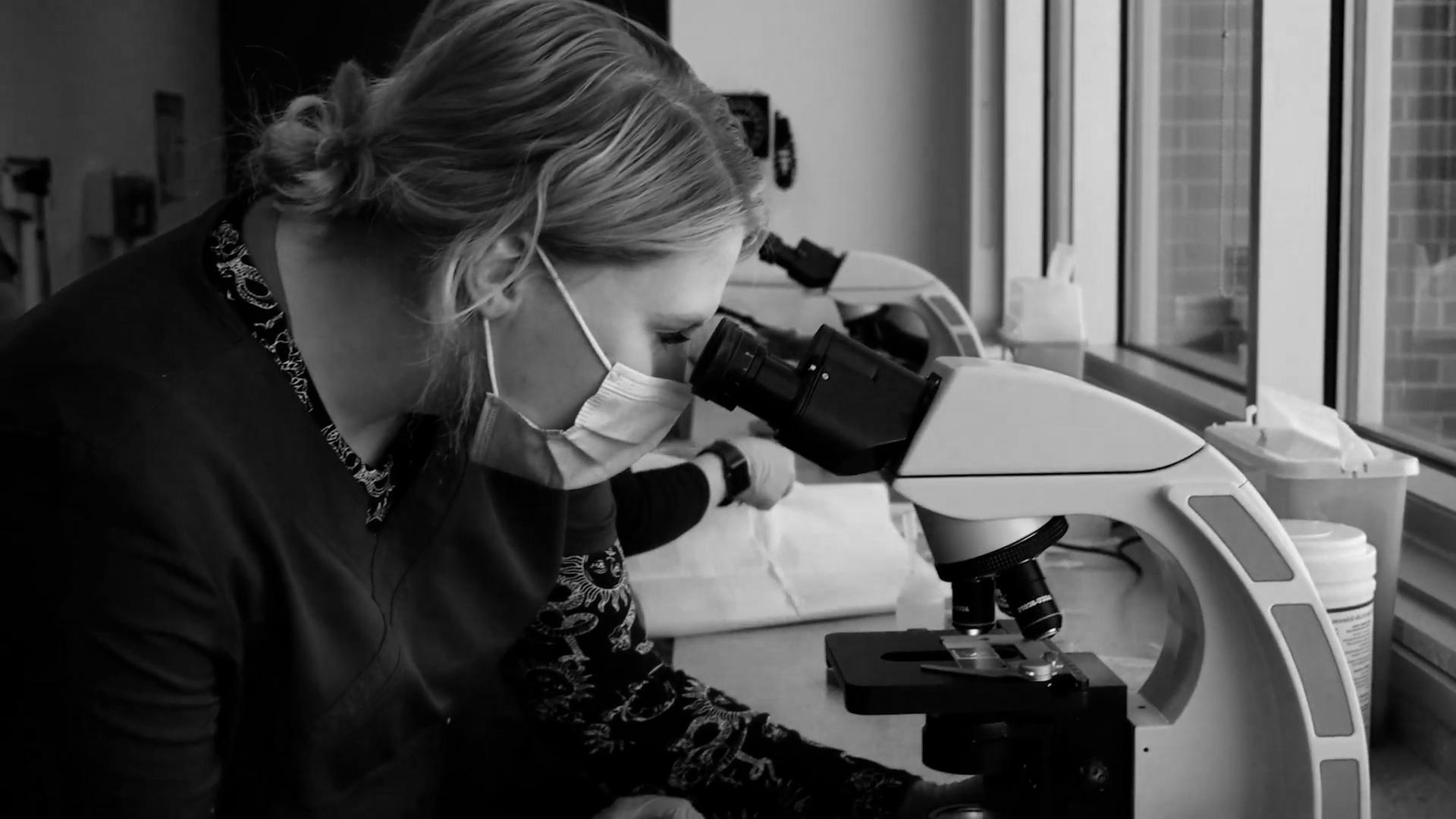 Photo of a student using a microscope